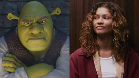 From left to right: Shrek looking angry in Shrek 5 and Zendaya looking to her left in Euphoria. 