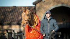 Ben Maher interview