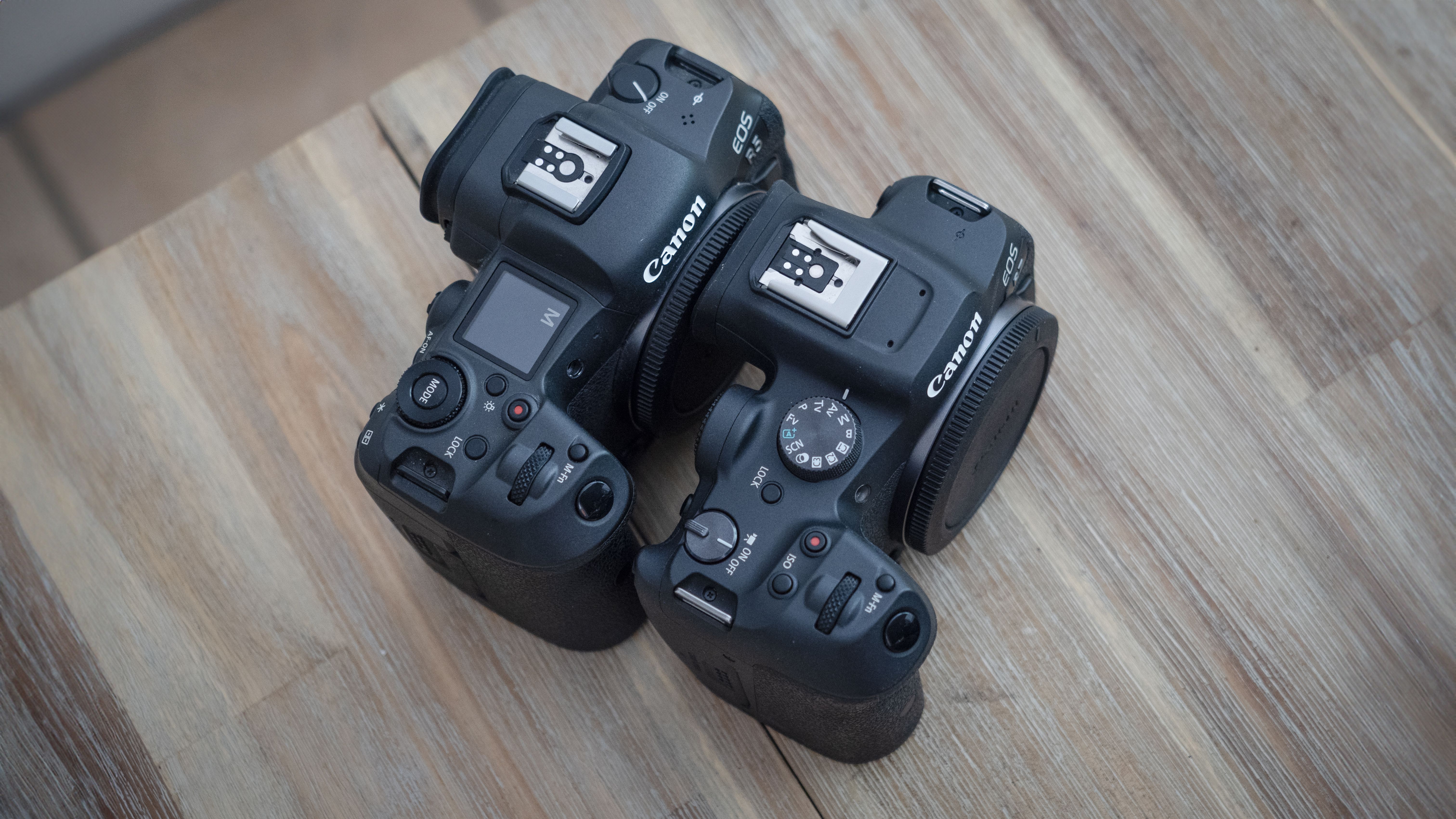 Canon APS-C cameras on a wooden surface