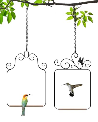 Hummingbird Swings 
