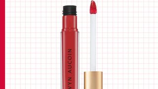 Cosmetics, Red, Lipstick, Lip gloss, Material property, Lip care, Liquid, Tints and shades,