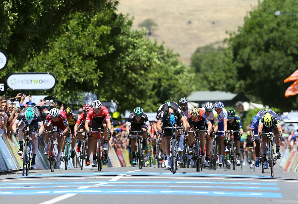 The sprinters approach the line during stage 1 at the Tour Down Under