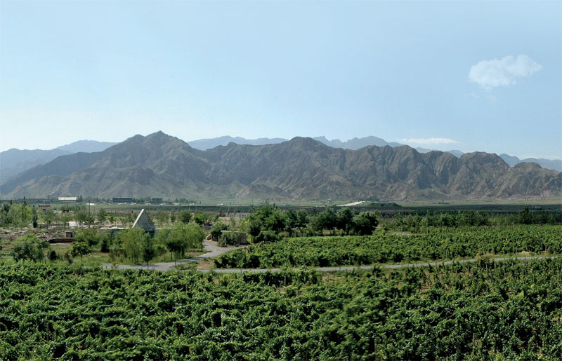 Ningxia