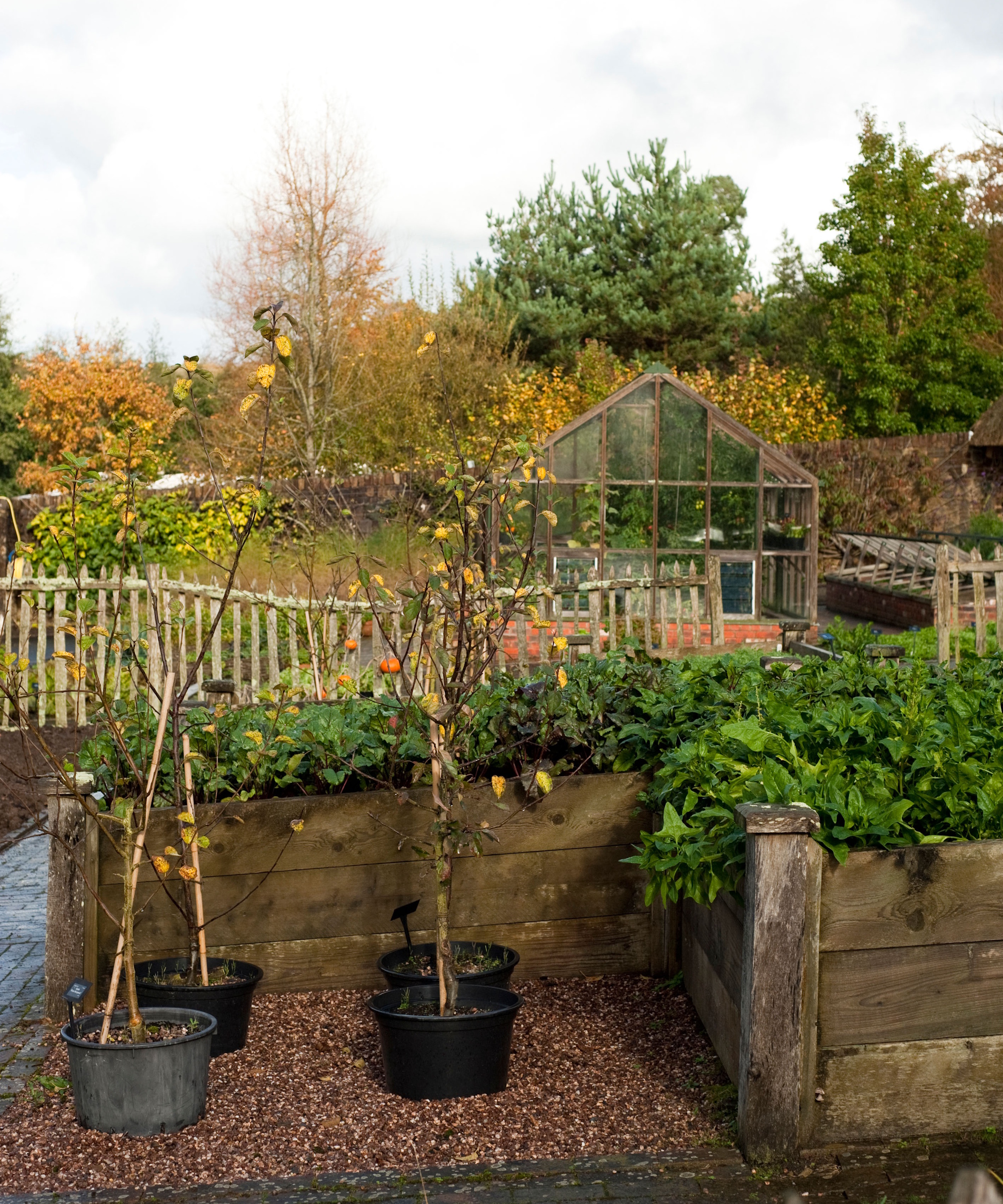 Fall raised garden bed