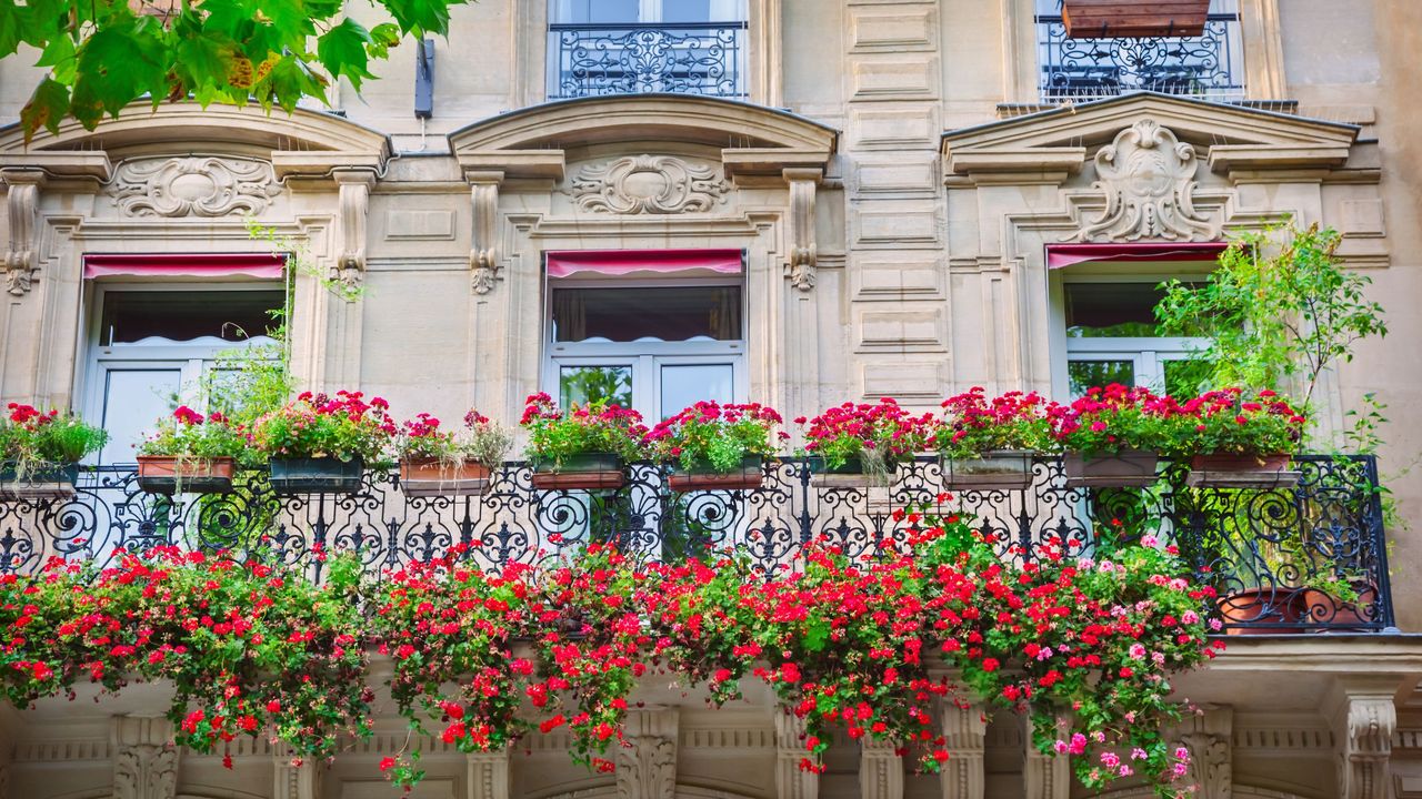 Paris balcony garden