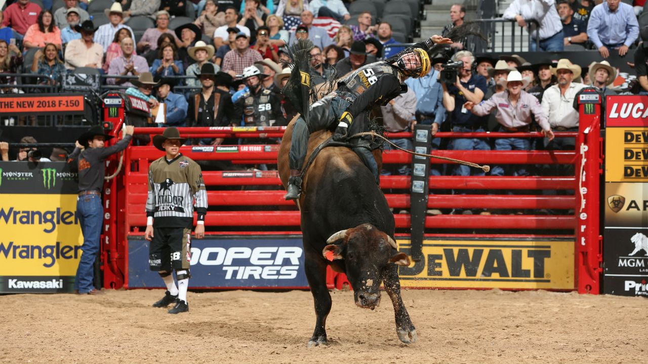 Jess Lockwood PBR Bull Stock Media