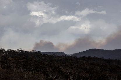 Smoke rises from downed U.S. firefighting plane in Australia