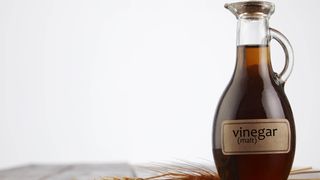 Bottle of malt vinegar