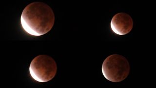 Four photos stitched together of the partial lunar eclipse.