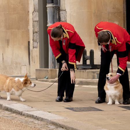 The corgis of Queen Elizabeth II, Muick and Sandy