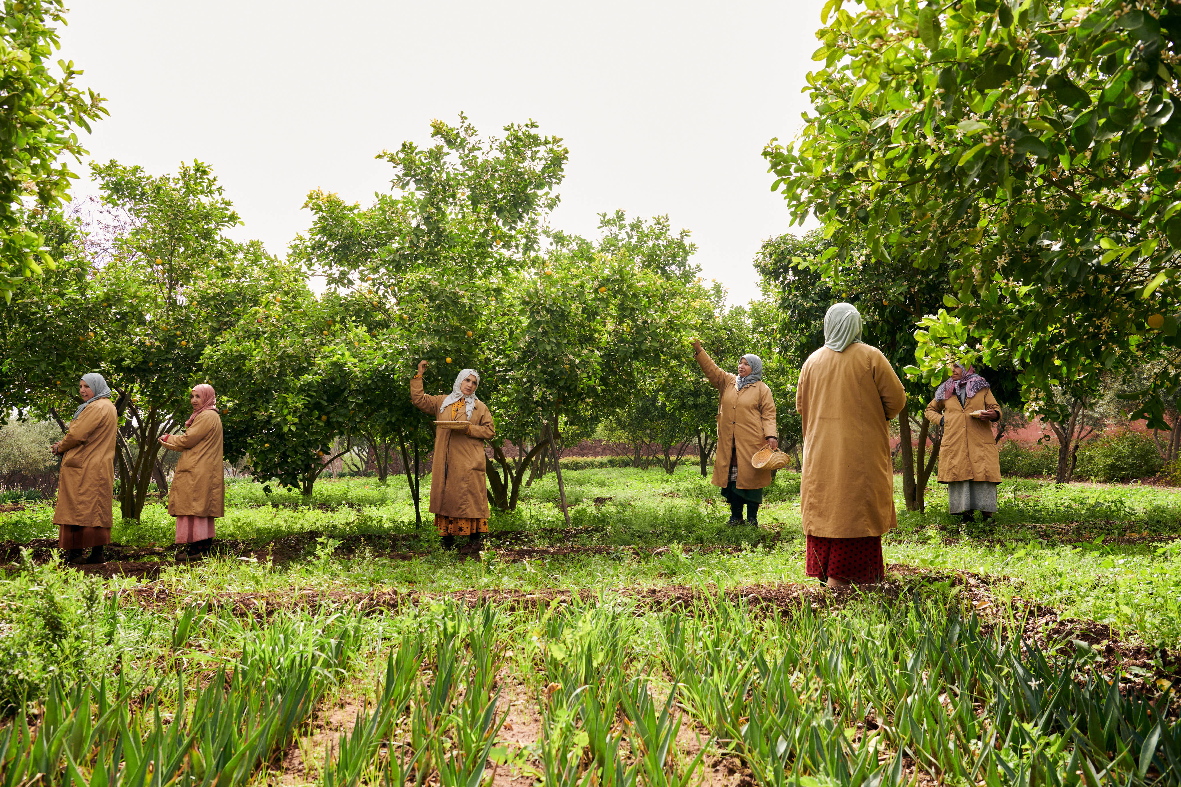 Ourika Community Gardens