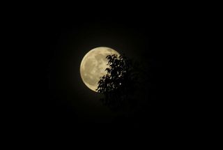 The Blue Moon full moon of July 2015 shines behind tree leaves in Puerto Rico in this photo sent in by skywatcher Neslyn Talavera on July 31, 2015.