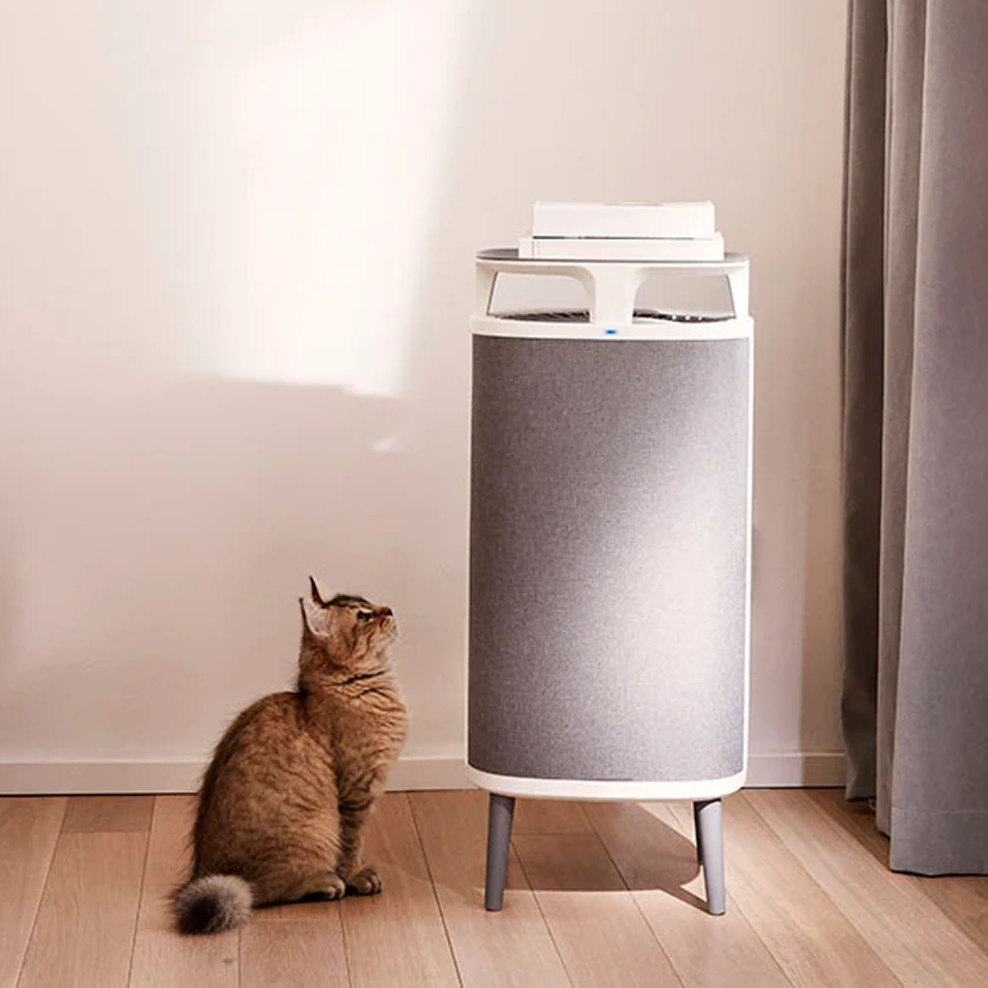 Blueair DustMagnet 5440i air purifier with a cat
