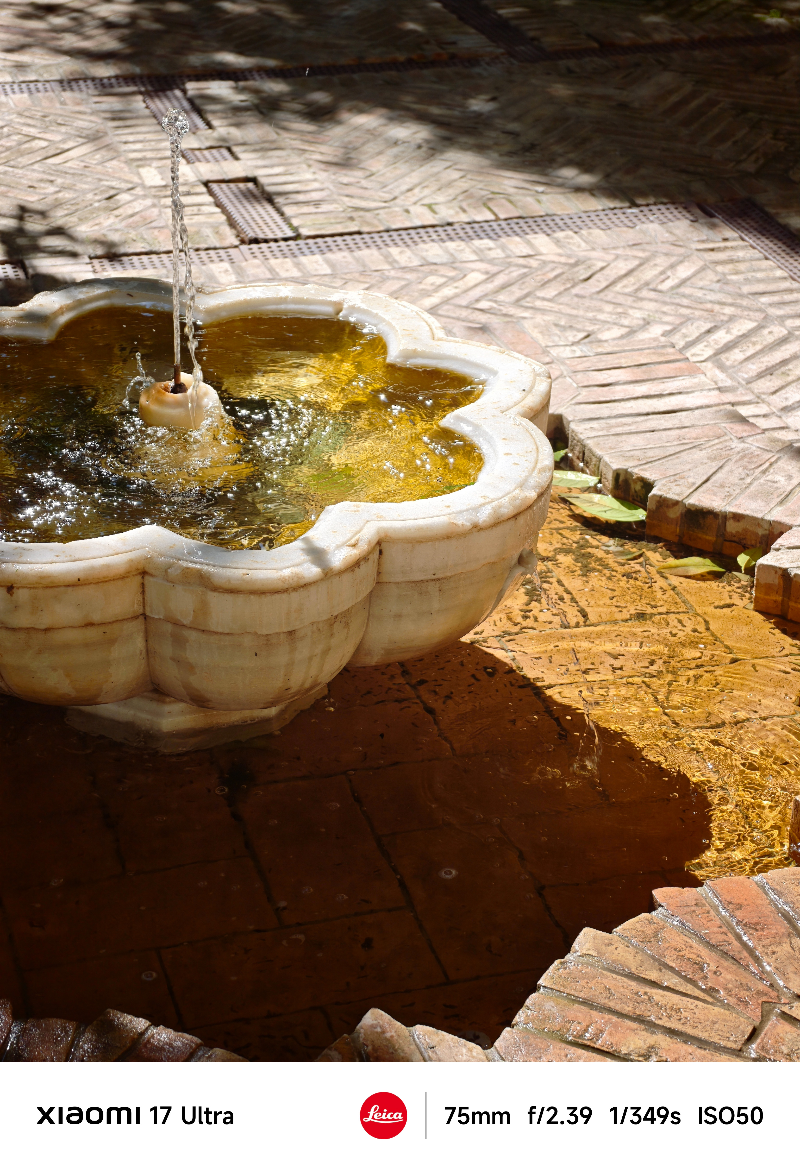 Small scalloped stone fountain in a tiled courtyard, sunlight reflecting golden tones in the water.