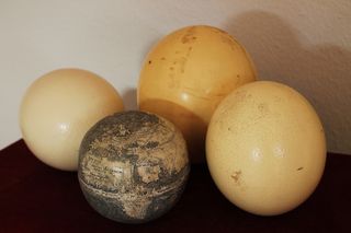 oldest globe showing new world is made of ostrich egg