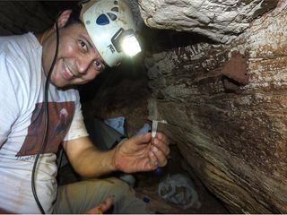 "Neotrogla species constitute the first cases in nature in which genitalia are reversed," said study co-author Rodrigo Ferreira, a cave biologist at the Federal University of Lavras in Brazil, shown here collecting samples.