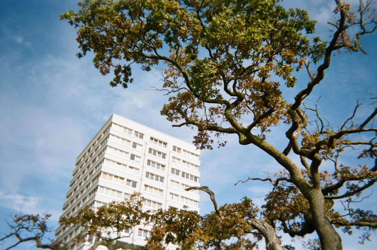 Sample photo taken with the Fujifilm QuickSnap Active