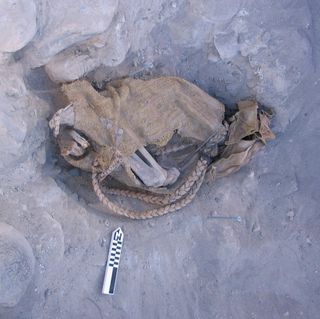 1,500-year-old mummy preserved in Chile's Atacama Desert