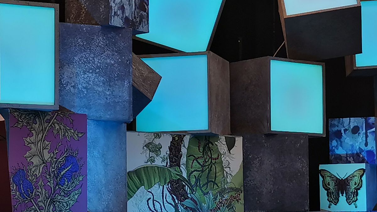 Depth and tone to these boxes. Image credit: TechRadar