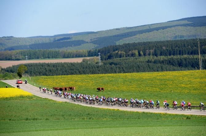 The peloton winds its way through the Waloon countryside