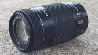 Canon EF-S 55-250mm f/4-5.6 IS STM review