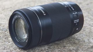 Canon EF-S 55-250mm f/4-5.6 IS STM review | Digital Camera World