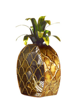 A Pineapple Fan