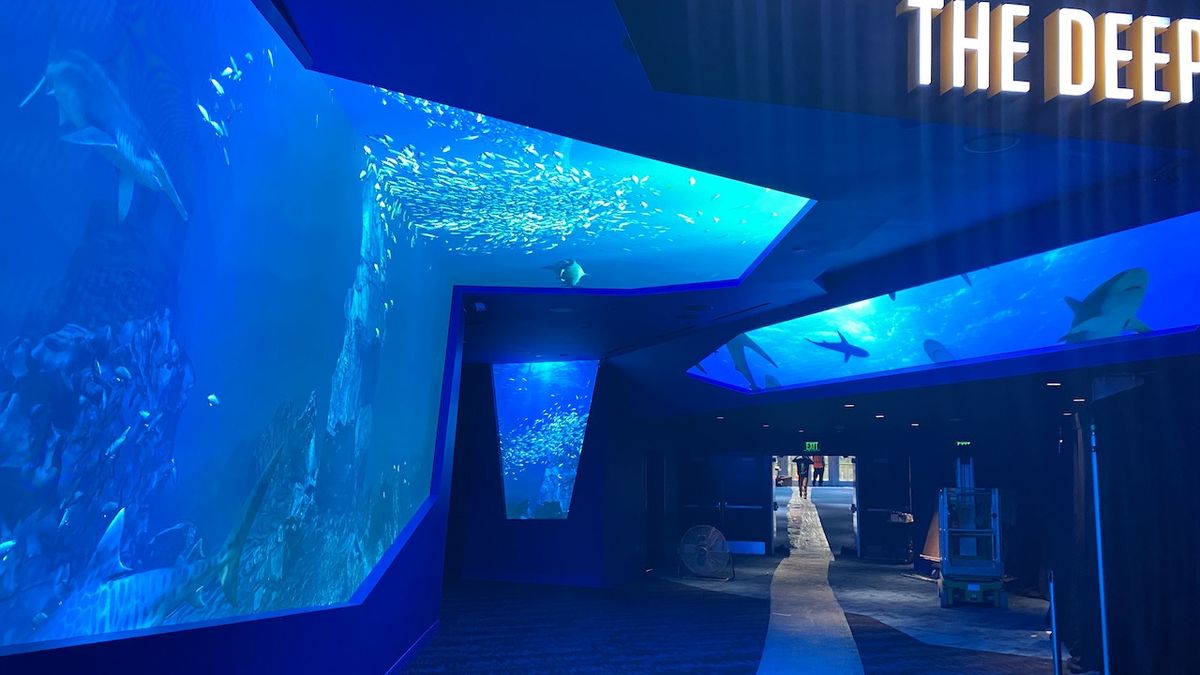 LED walls simulate an underwater experience at the Georgia Aquarium