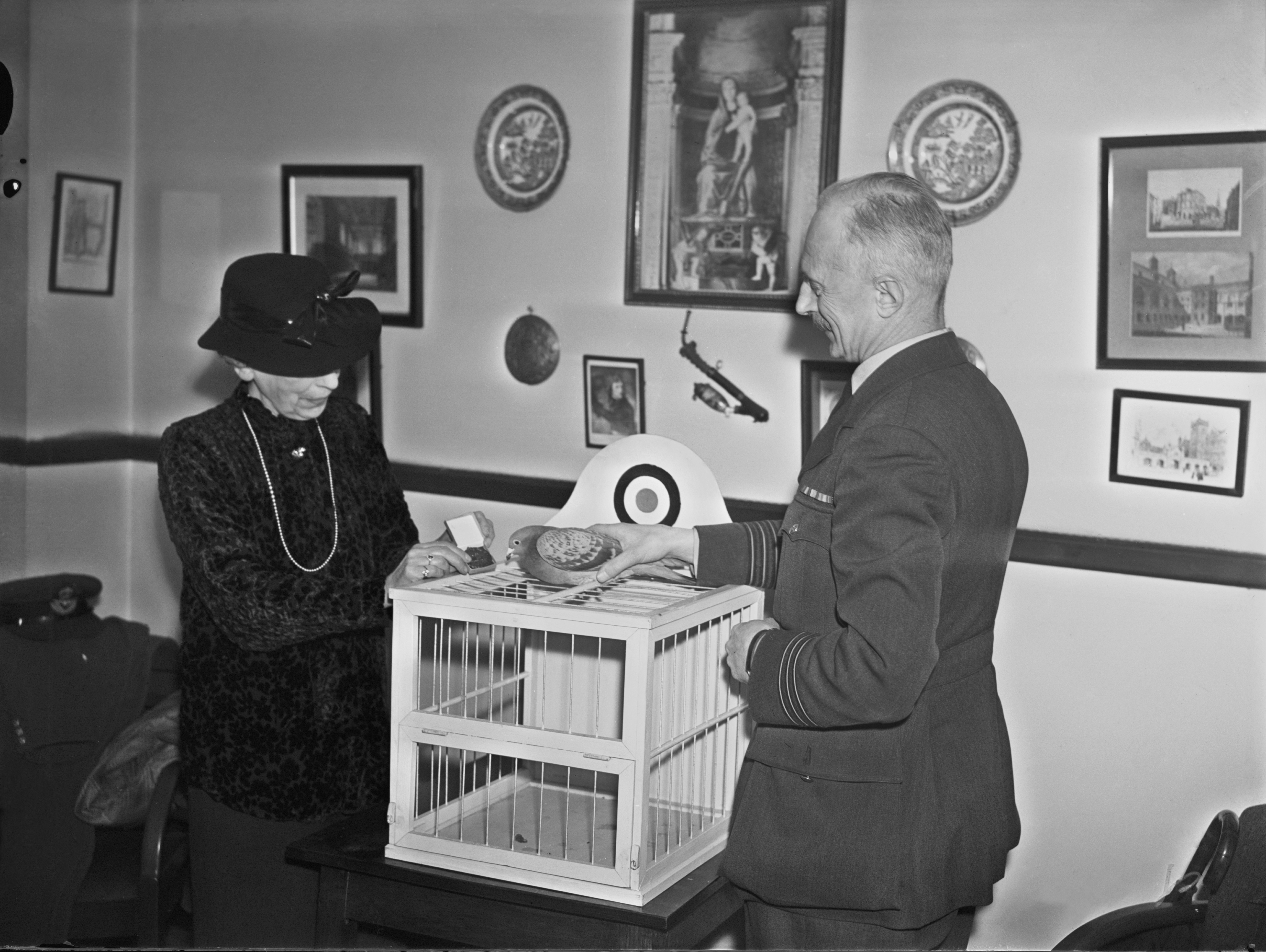 Maria Dickin, the founder of the PDSA, presents RAF homing pigeon Winkie with the Dickin medal in 1944 for delivering a message that contributed to the rescue of a ditched aircrew in February 1942.