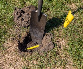 A post shovel uncovering a shallow gas line