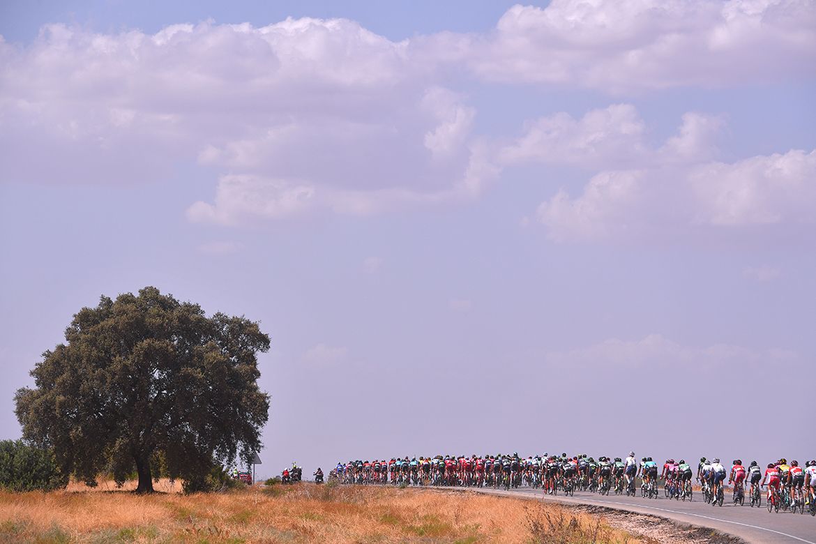 The peloton is strung out in a long line