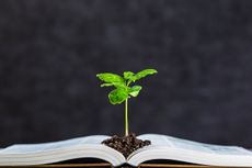 Seedling Sprouting From An Open Book