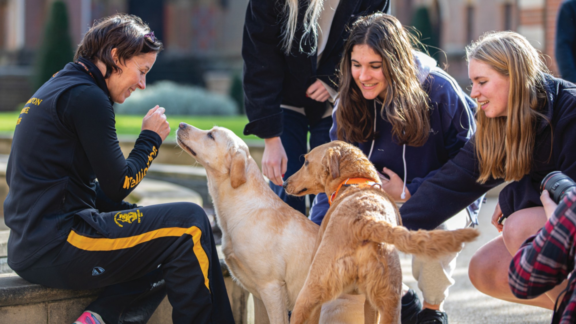Students pet two dogs at Wellington College