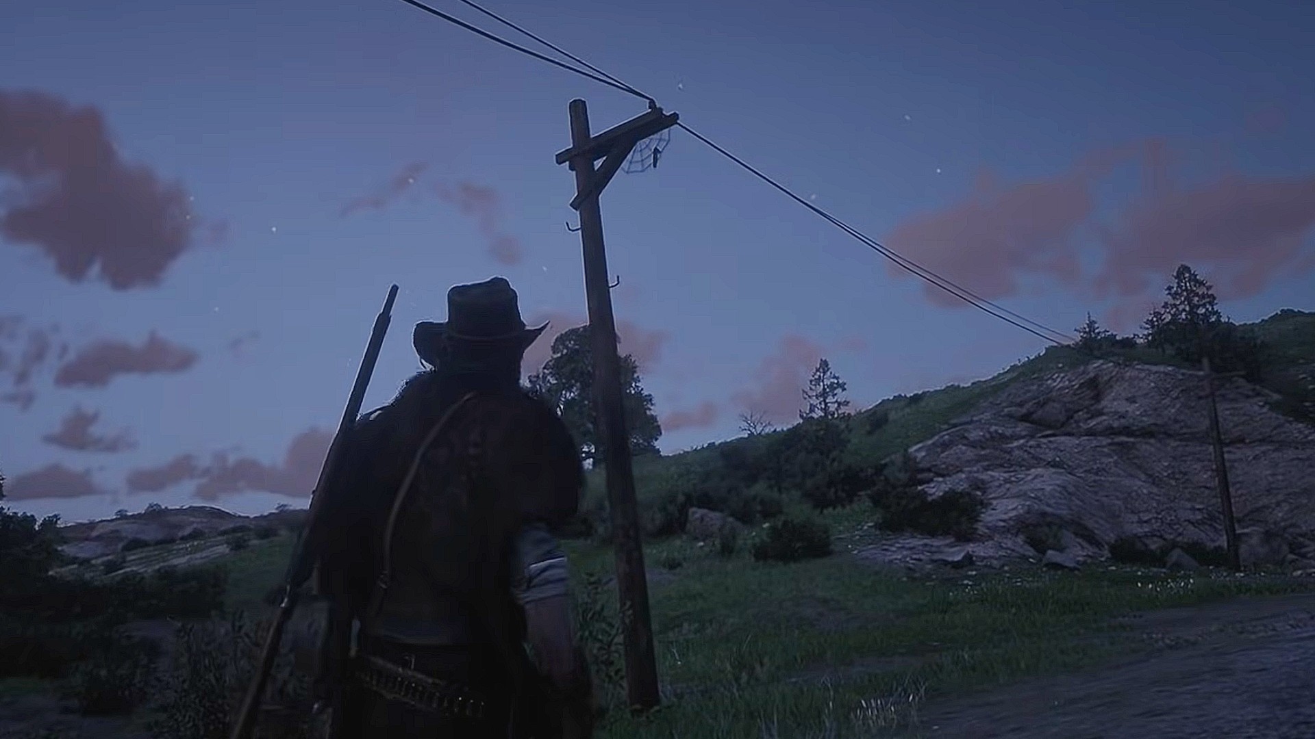 Red Dead Redemption 2 screenshot of a spider's web on a pole