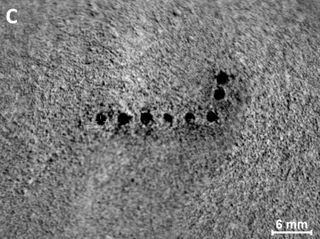 Microscopic View of Martian Soil Targets