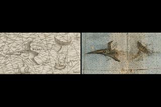 Cartographer Urbano Monte likely drew inspiration for this sea monster (right) that he placed in the Pacific Ocean on his 1587 map from another map that Michele Tramezzino created in 1558 (left).