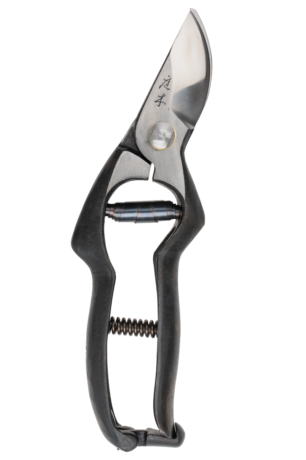 Theater Shoes - Gold