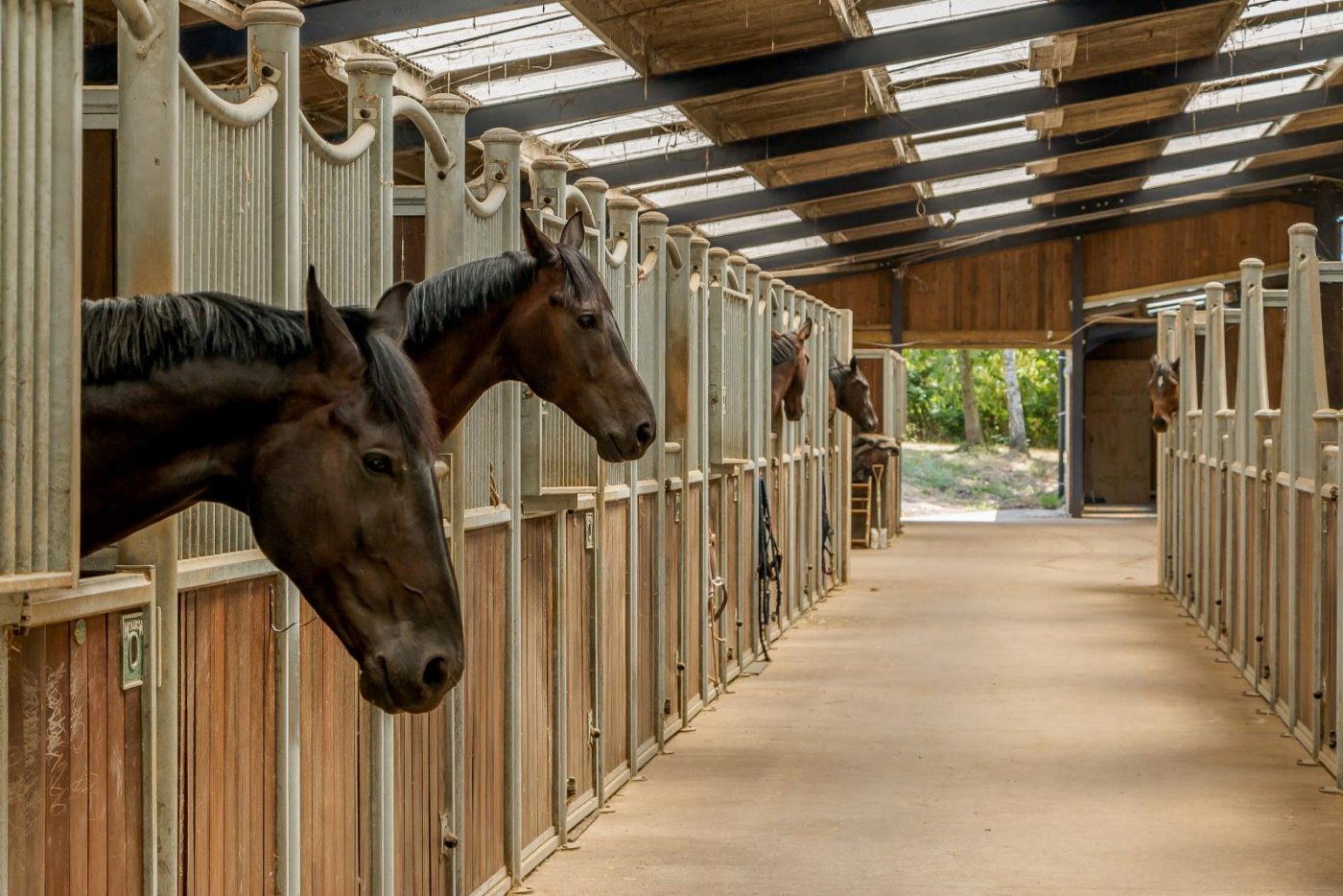 Elm-Hill-stables-2-e1623672960133.jpg