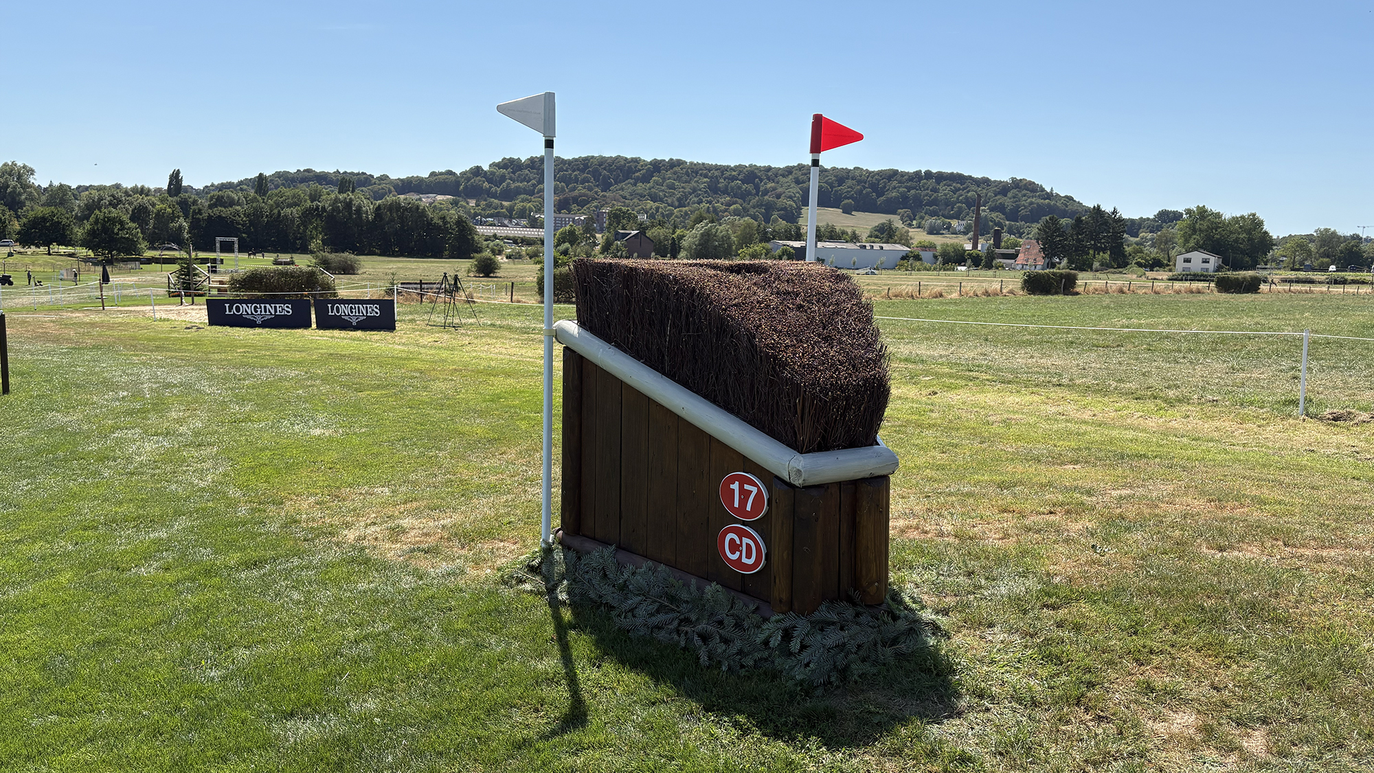 A triple brush arrowhead on the eventing World Championships cross-country course