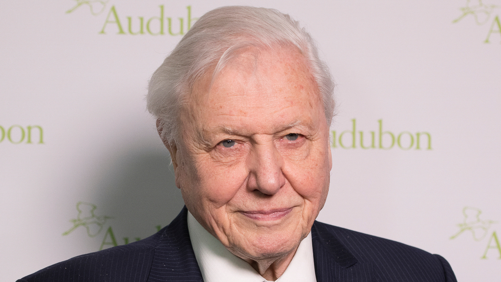 david attenborough