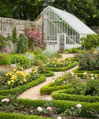 Walled garden with parterre planting and roses and greenhouse