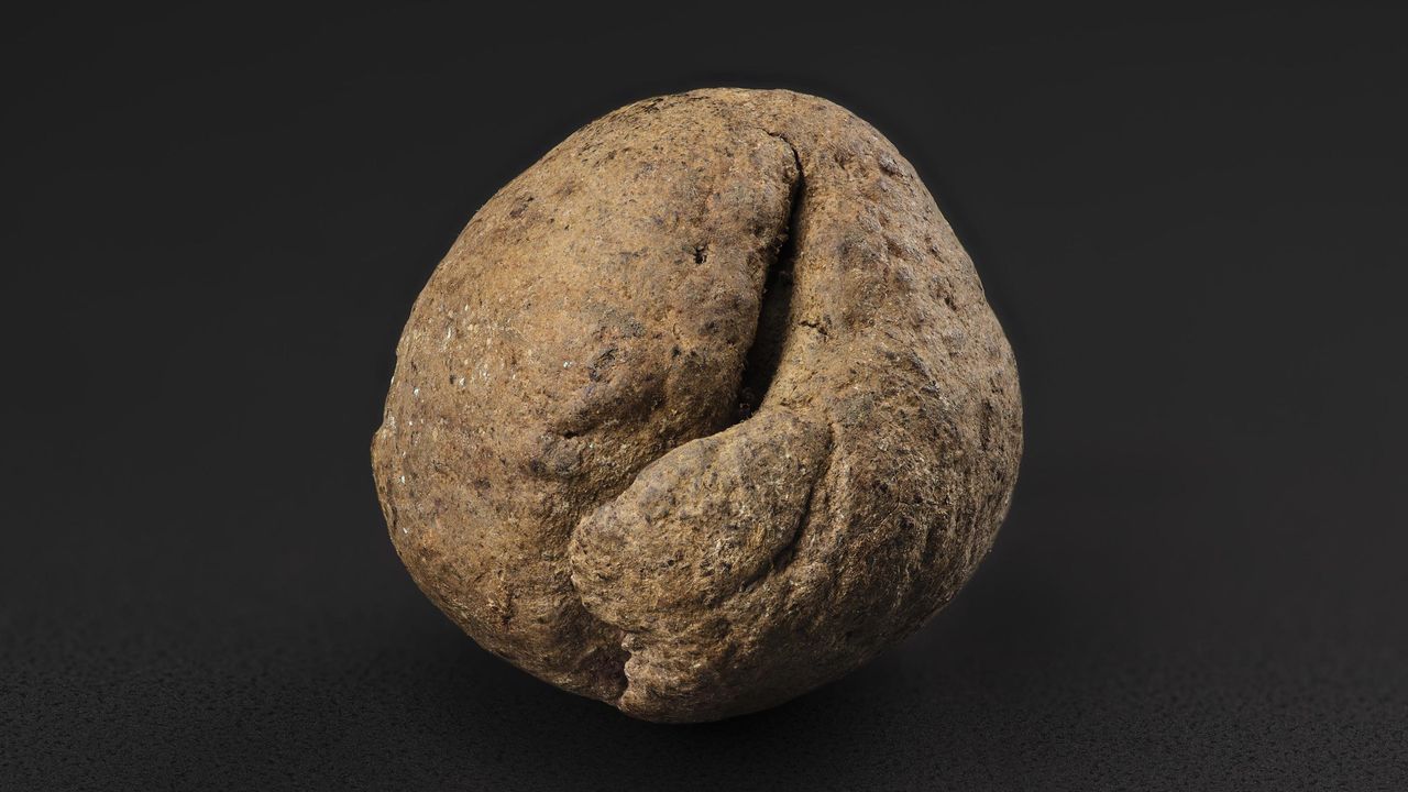 This ball of dirt was found within the Galloway Hoard.