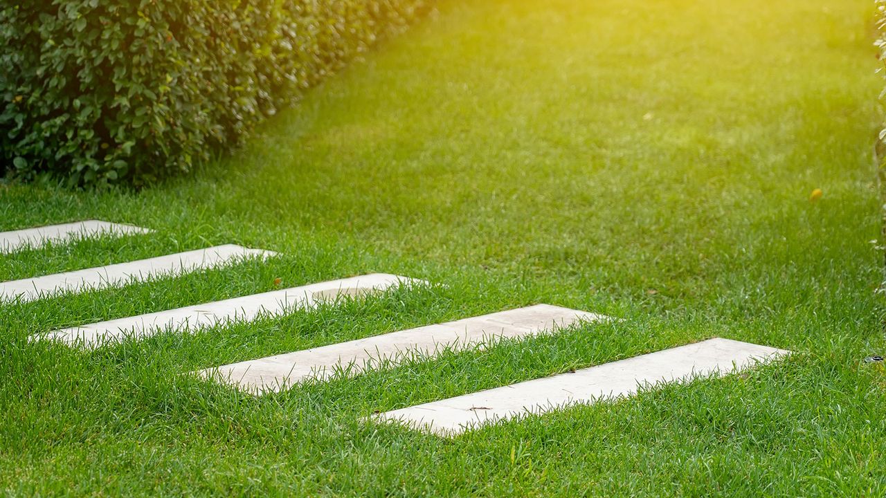 stepping stones across a green lawn with sun shining on it