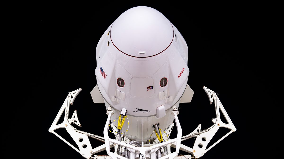 SpaceX ve NASA, Crew-7 astronot misyonunun lansmanını duyurdu