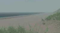 Bleakshore