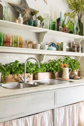 kitchen with open shelves displaying a range of vintage accessories and lots of plants