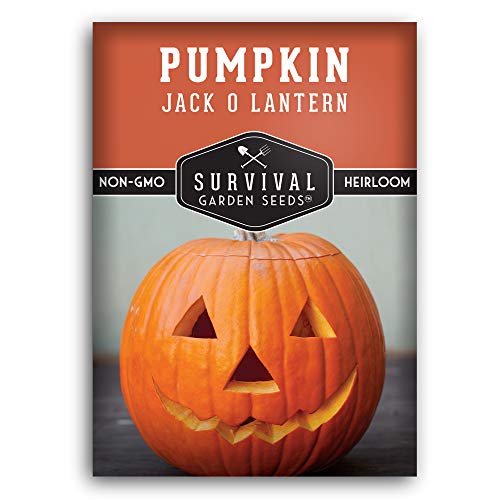 Survival Garden Seeds - Jack-O-Lantern Pumpkin Seed for Planting - Packet With Instructions to Plant and Grow Orange Carving Pumpkins in Your Home Vegetable Garden - Non-Gmo Heirloom Variety