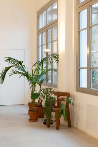 Interior view of a space at the Formafantasma Milan studio featuring grey floors, white walls, windows, the ‘Toio’ floor lamp, green plants in pots and a wooden chair which has plants on it
