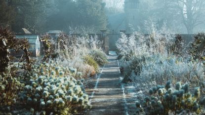 winter garden