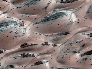 Strange Mars Photo Includes Tantalizing 'Tree' Illusion